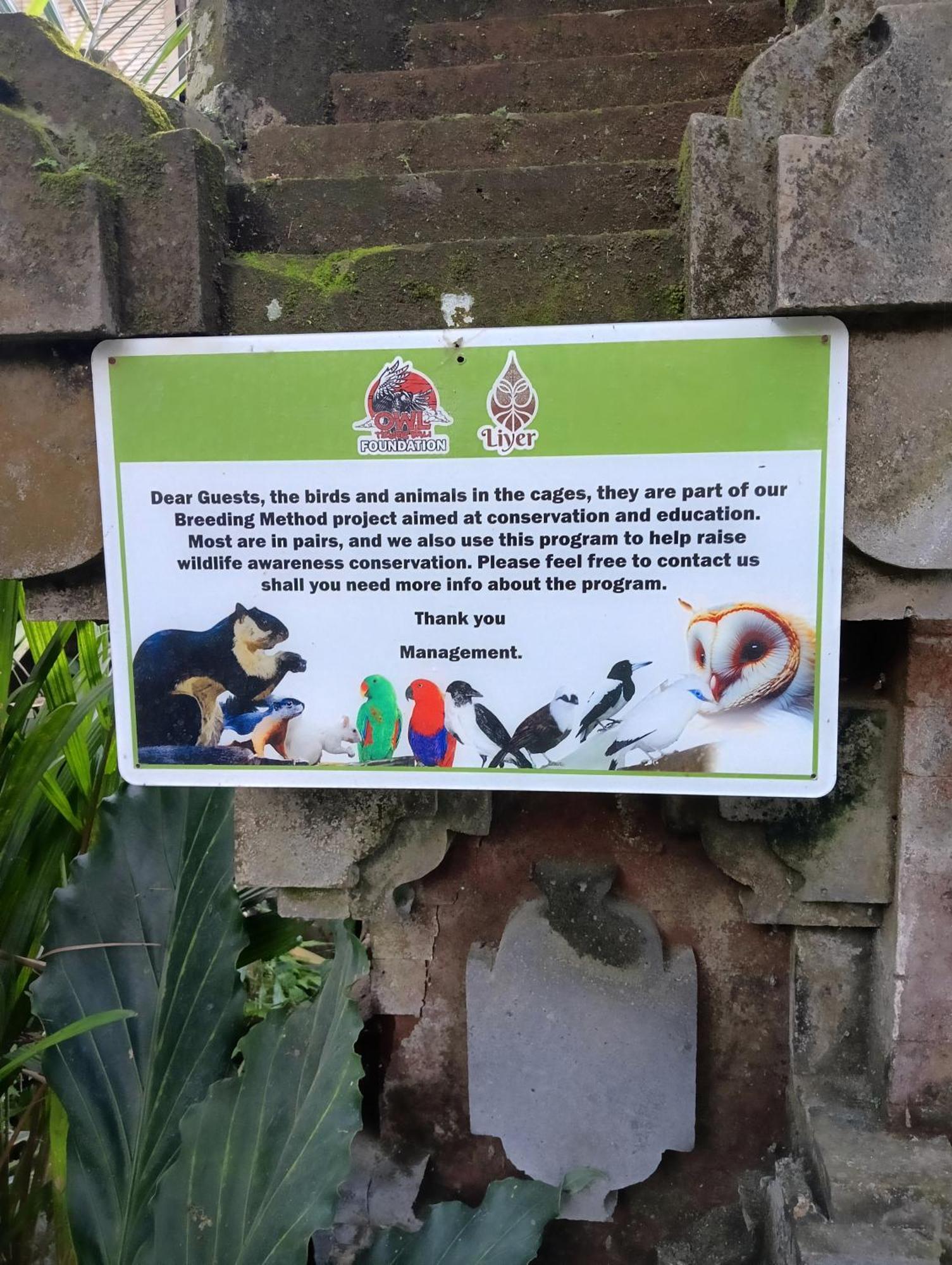 Hotel Liyer Spirit House Ubud Exterior foto